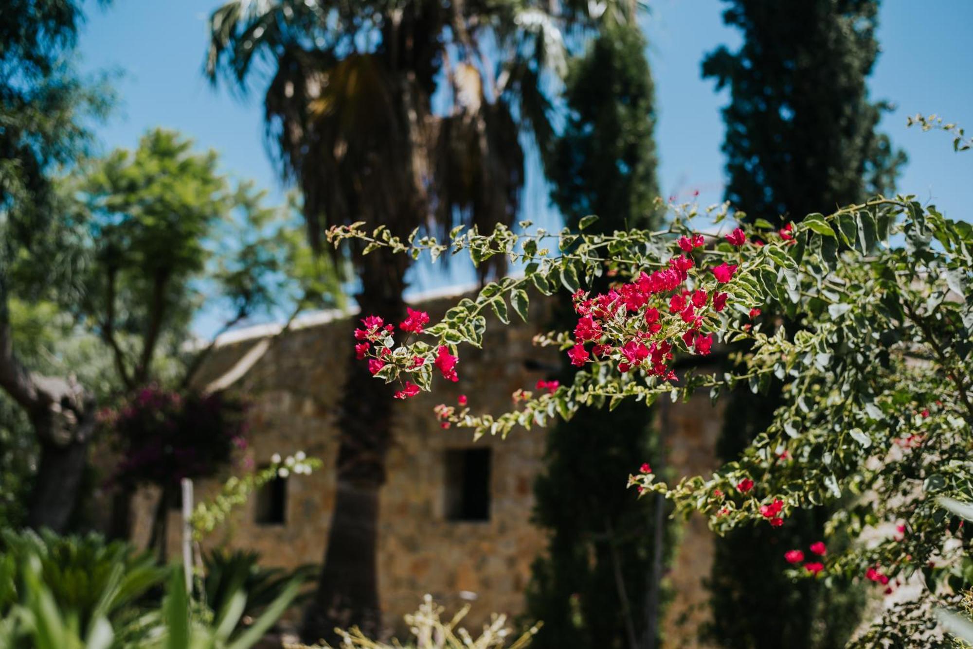 Villa & Guesthouse Paissa D'En Bernat Cala Tarida  Exterior photo